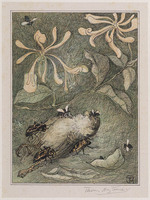 KG 09227
<br/>
Dode huismus met kevers en andere insecten
<br/>
<em>Hoytema, Theo van (1863 -1917)</em>